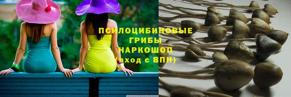 гидропоника Армянск