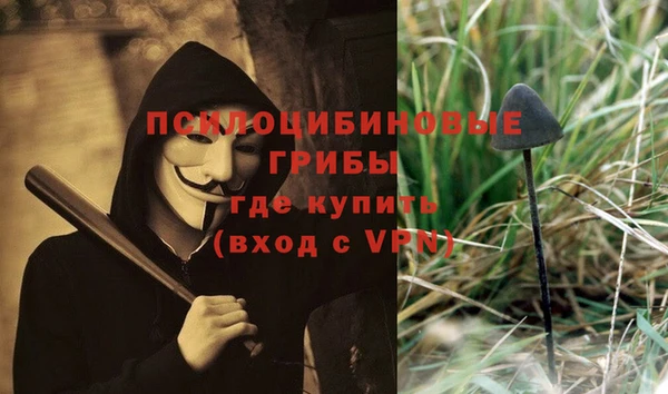 MESCALINE Осинники