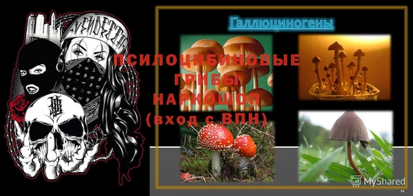 гидропоника Армянск