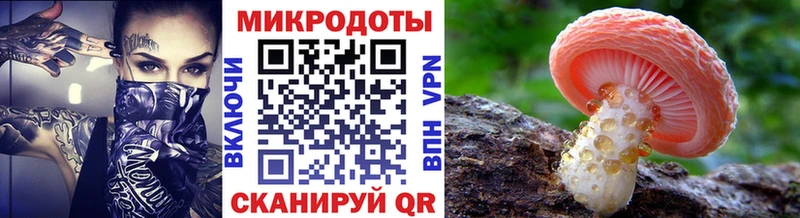 Галлюциногенные грибы Psilocybe  KRAKEN вход  Богданович 