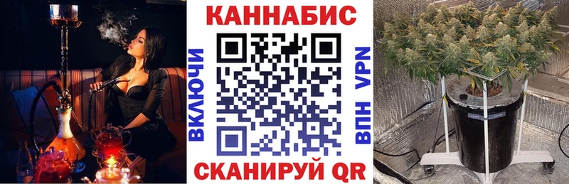 как найти   Богданович  Шишки марихуана индика 